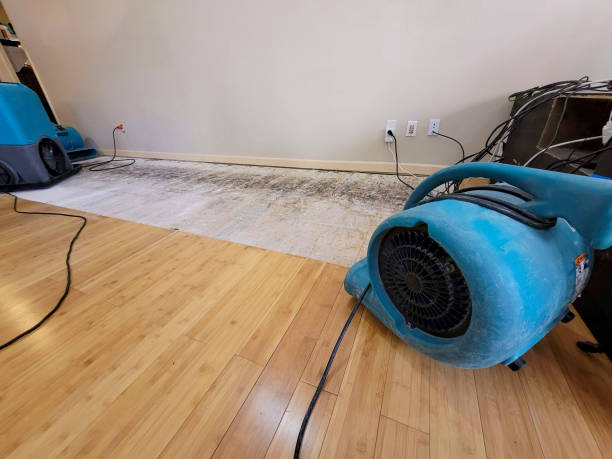 Professional Sewage Cleanup technician working in Catawba, OH
